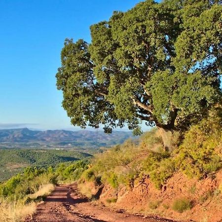 Piso Sierra Calderona A 15 Minutos Del Mar Estivella公寓 外观 照片