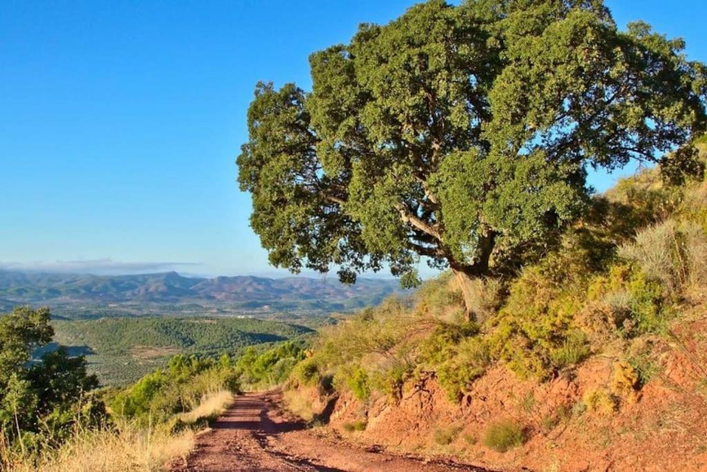 Piso Sierra Calderona A 15 Minutos Del Mar Estivella公寓 外观 照片